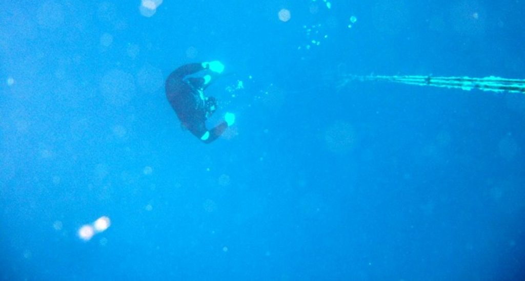 Free dive