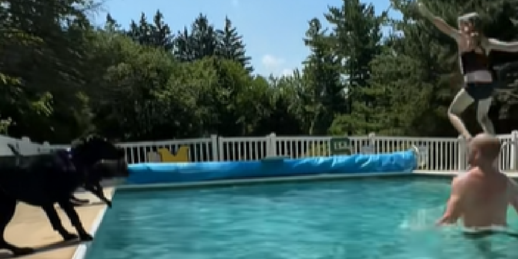 Labrador, Pool