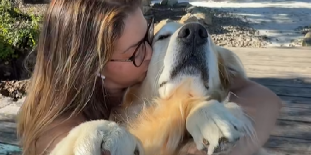 Hund, Golden