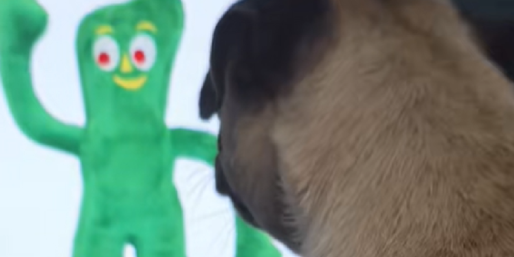 Hund, Mops