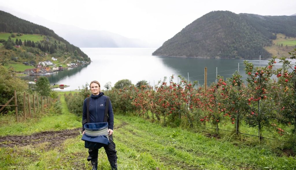 Mette Marie Heiberg, Ambla Gård, eplebonde, epletre, økologiske epler, æbletræ, plukke æbler