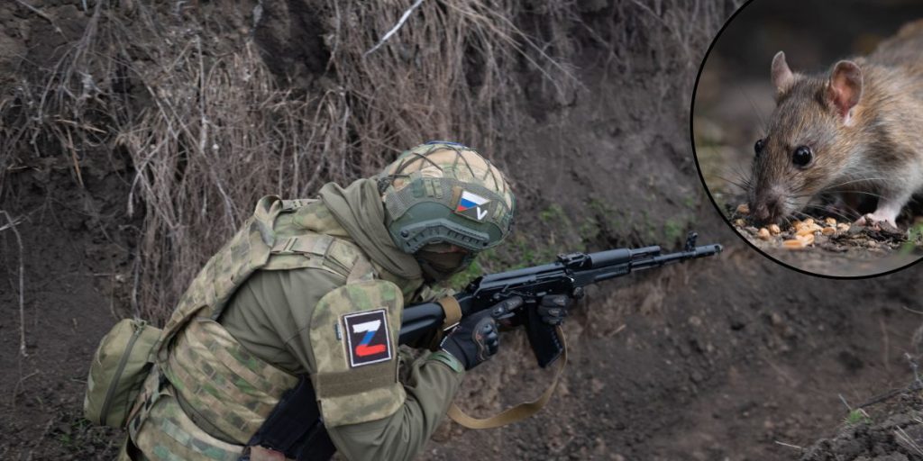 russia soldier mice mouse