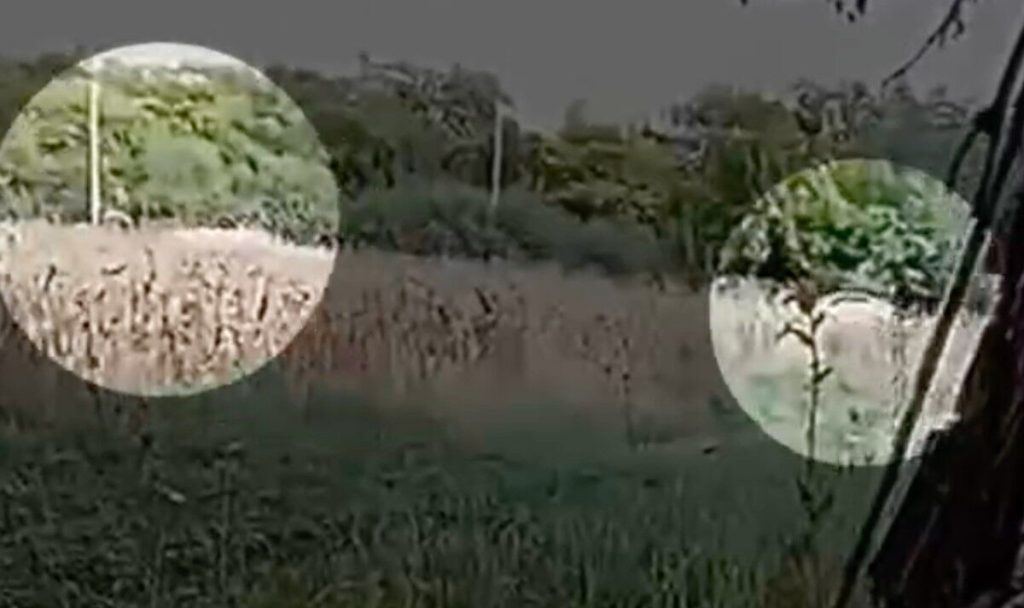 ukraine military assassination