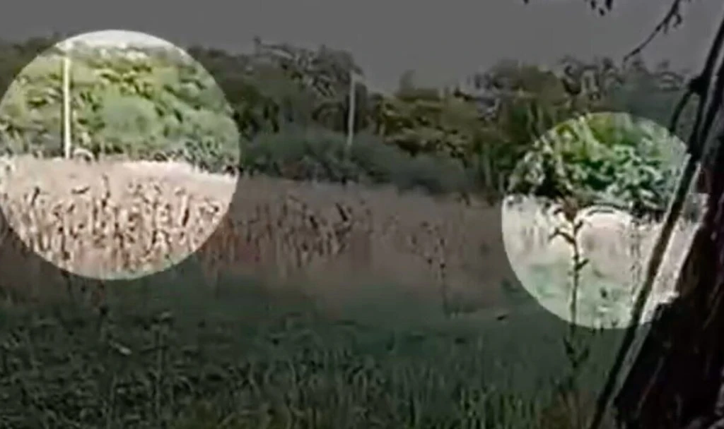 ukraine military assassination
