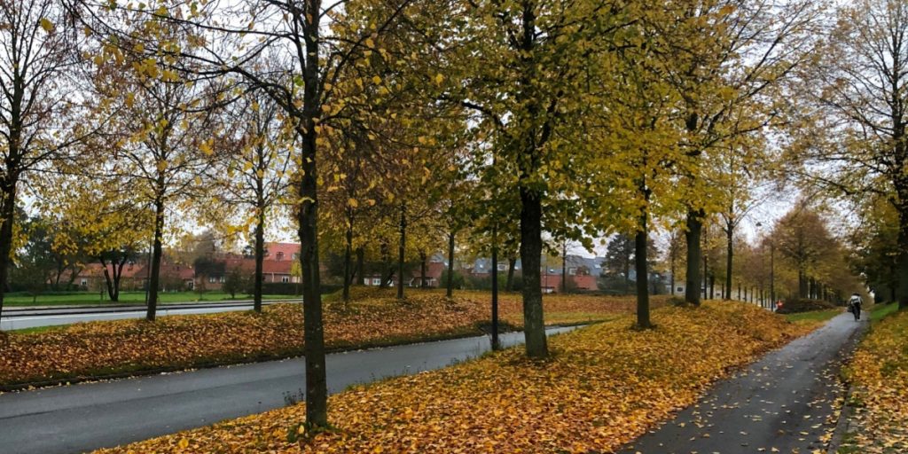 Efterår, fall