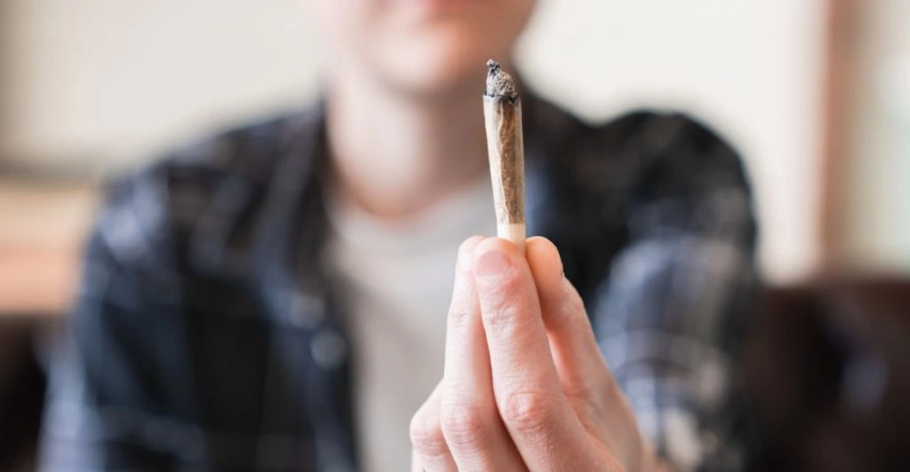 Weed, hash, droger