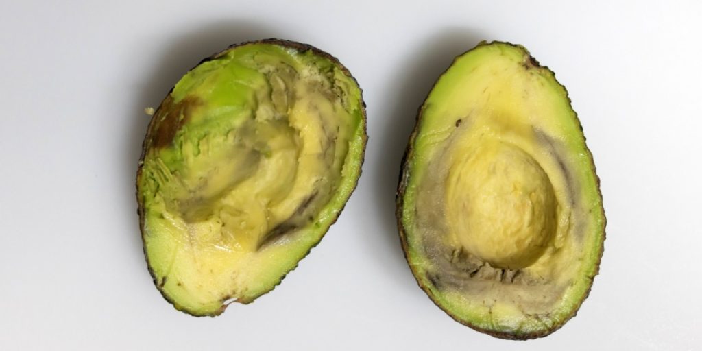 Avocado