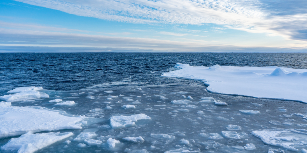 Arctic sea