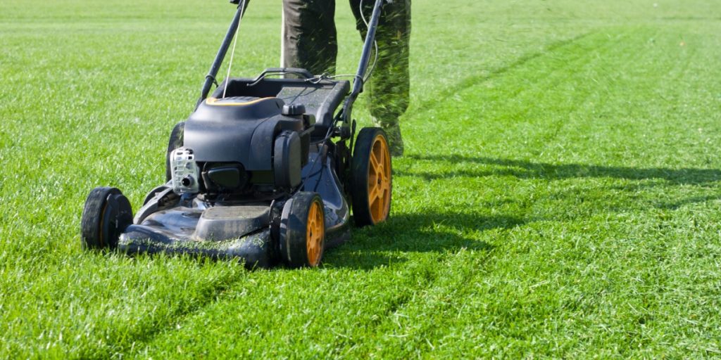 Græsslåmaskine, græs, lawn