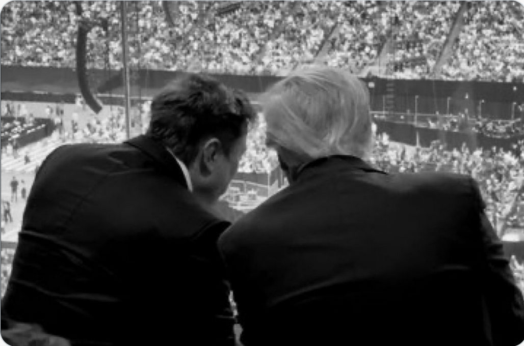 Elon Musk / Donald Trump for Charlie