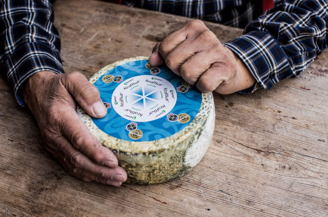 Blåmuggosten Kraftkar fra Tingvollost, cheese, blåskimmelost
