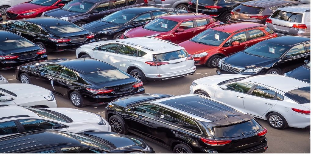 car shop multiple cars