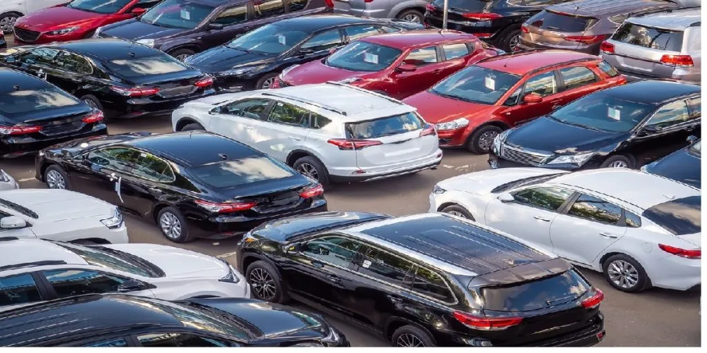 car shop multiple cars