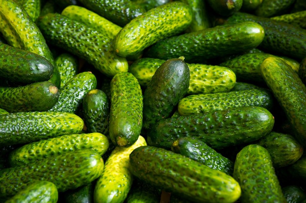cucumber, pickles