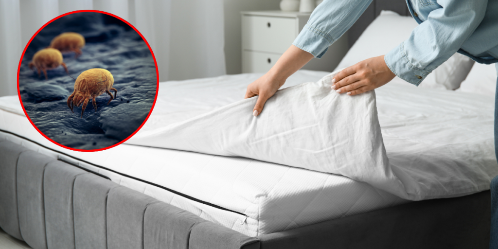 Undgå støvmider i sengen: Den største vaskefejl mange begår