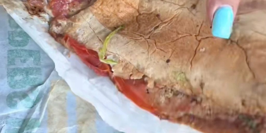 Mand falder med sandwich i hænderne: Hvad der sker derefter er blevet set af 65 millioner