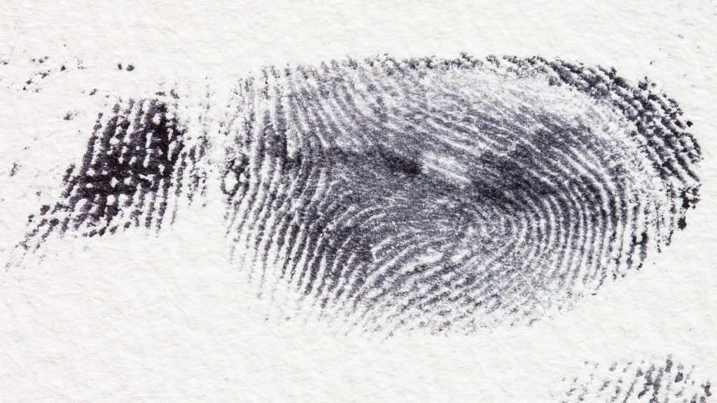 fingerprint finger aftryk