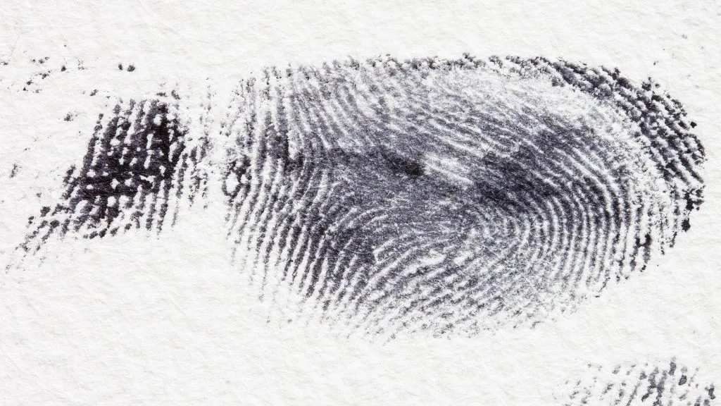fingerprint finger aftryk