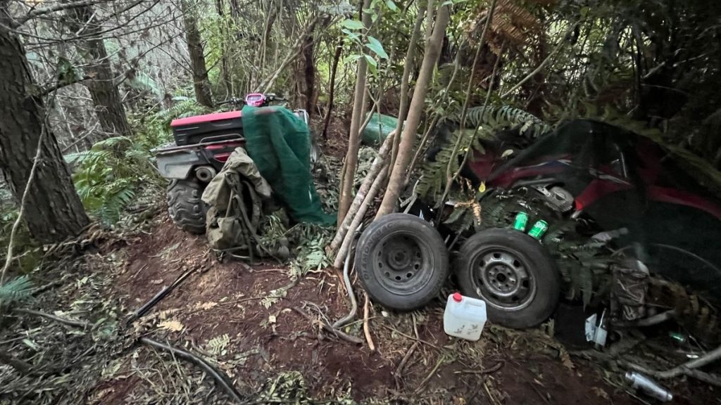 Tom Phillips campsite New Zealand