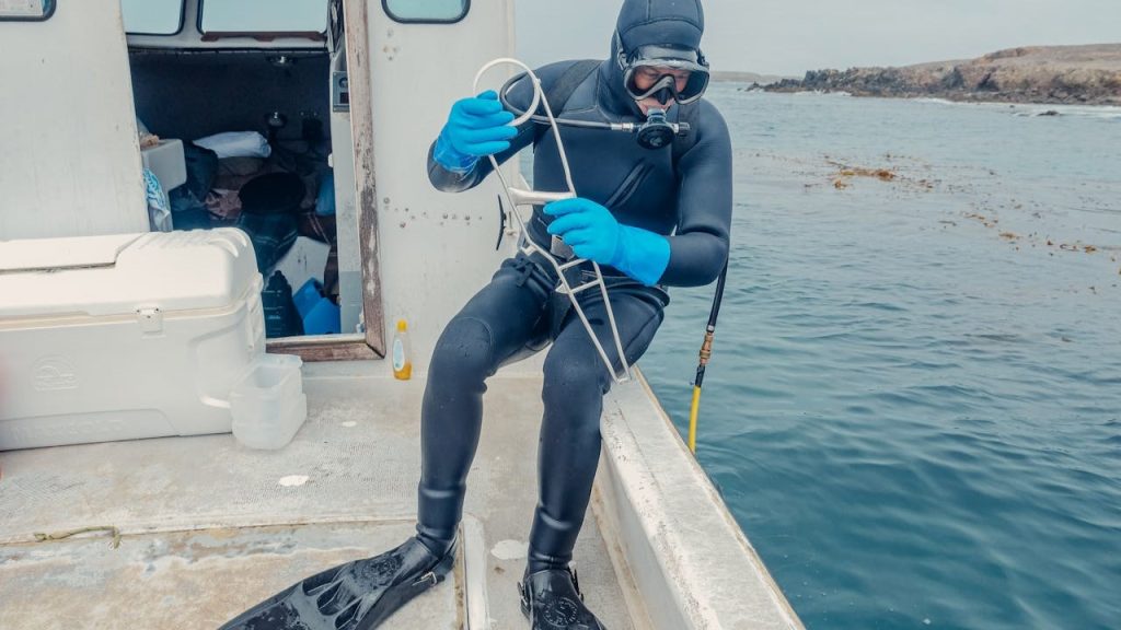 diver dykker