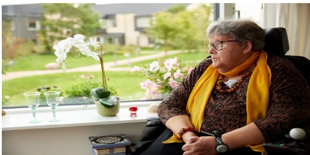 plejehjem hjemmehjælp ældresagen