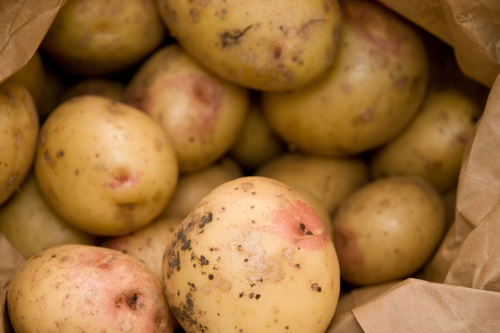 Potato, potet, karoffel, kartofler