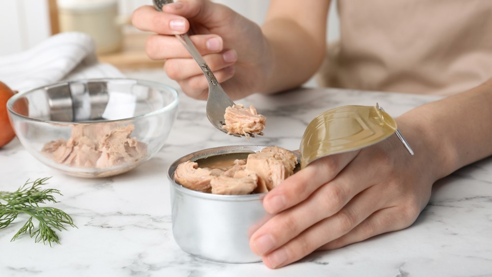 tinned tuna fish dåse tun