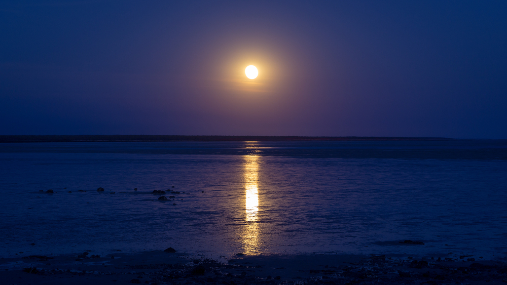 Moon, ocean, tidal waves, bølger, måne, hav