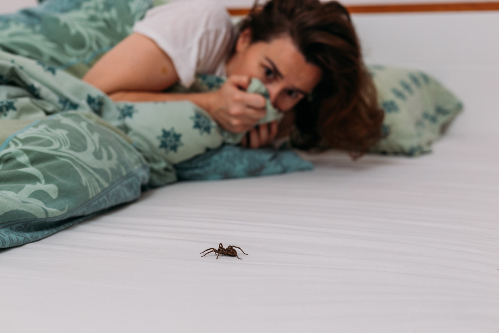 spider, bed, crawling, fear, edderkoipp, edderkop, seng, kravle, bange, redd