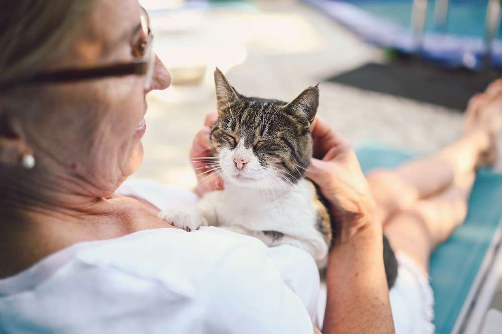Nekter katten din å spise? Dette kan være et rop om hjelp