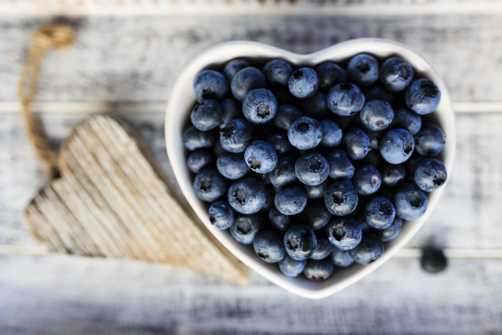 Blueberries, Heidelbeeren, Blåbær