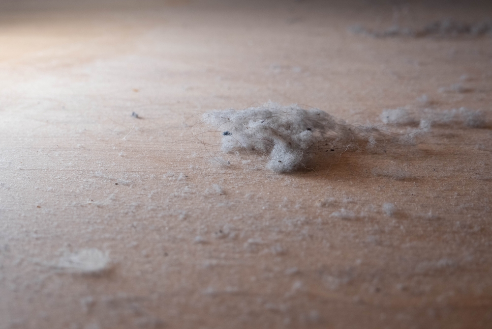 dust, floor, støv, gulv