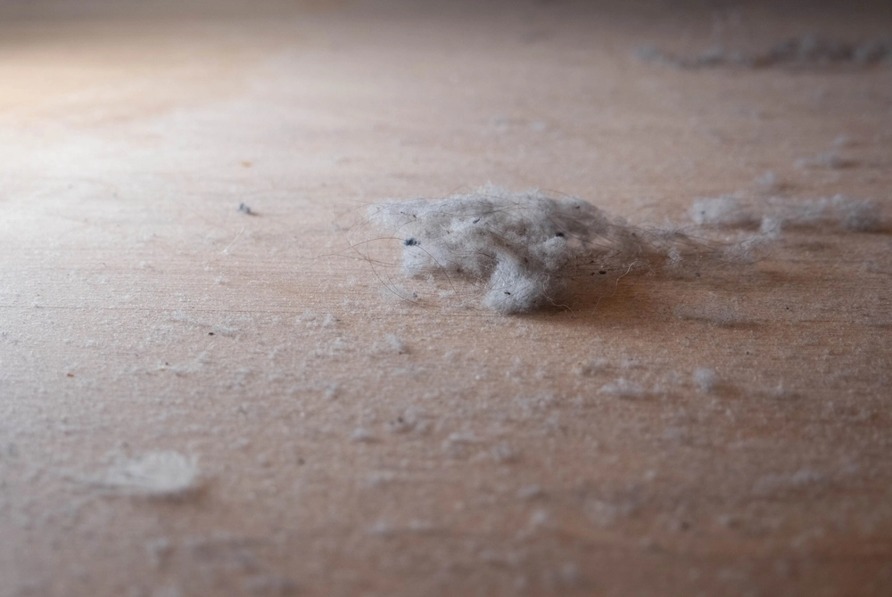 dust, floor, støv, gulv