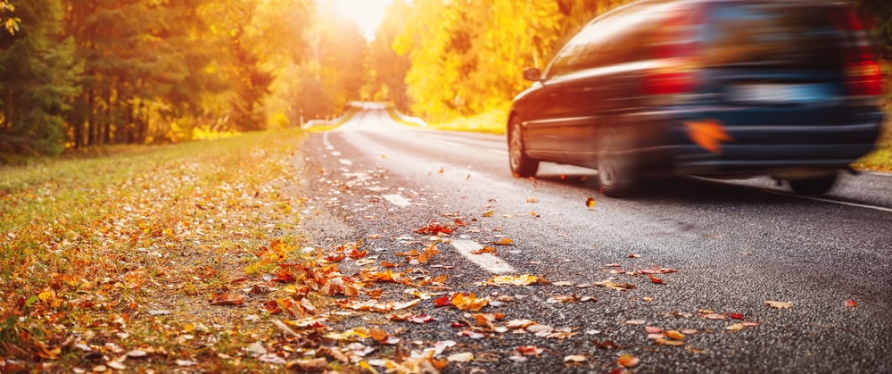 Car, road, autumn, fall, leaves, efterår, bil, blade, vej