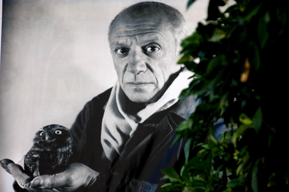 Pablo Picasso, poster, image, bilde, billede