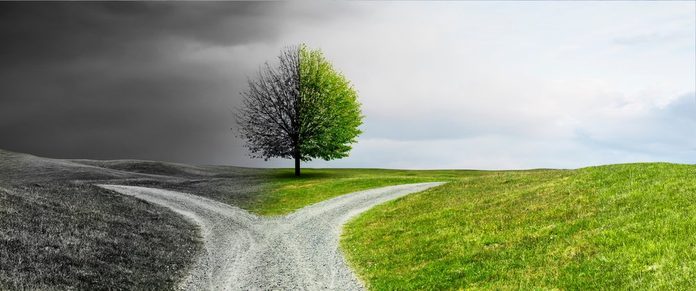 Crossroads,skillevej,climate change,klimaforandring