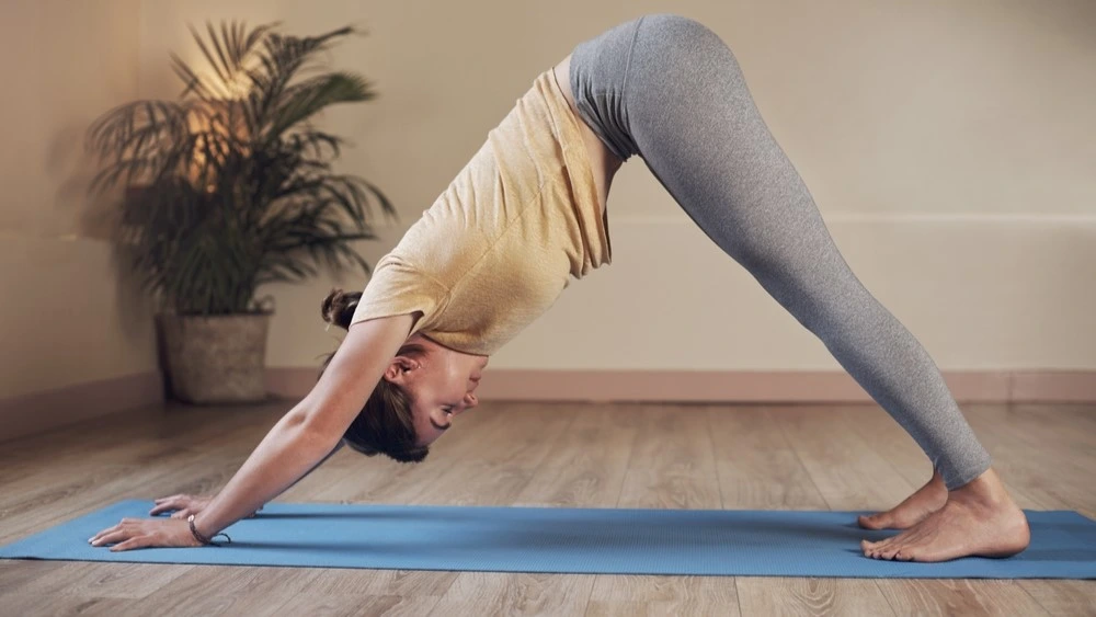 Downward Dog yoga