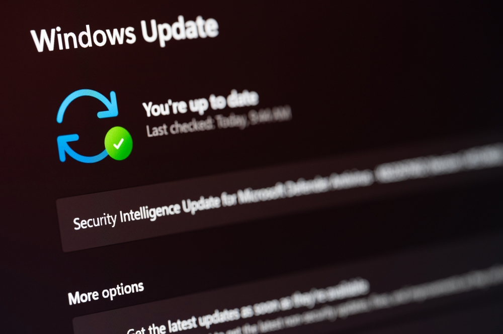Microsoft, Windows 11, Windows Update, Security, Sikkerhed, Styresystem