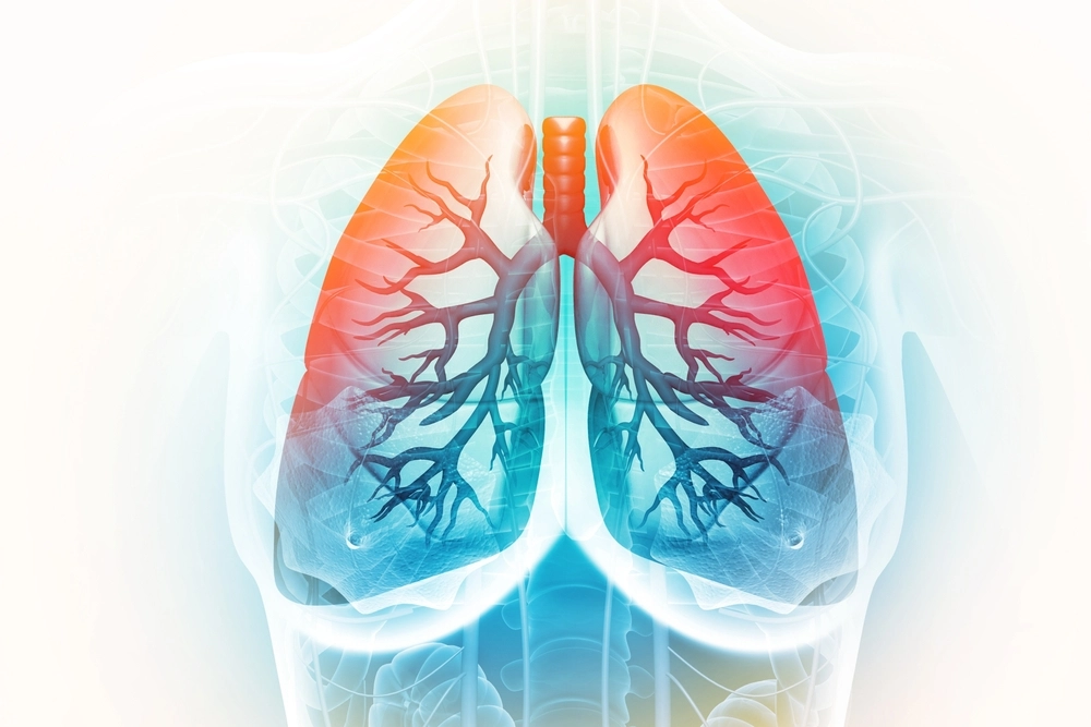 Lungs
