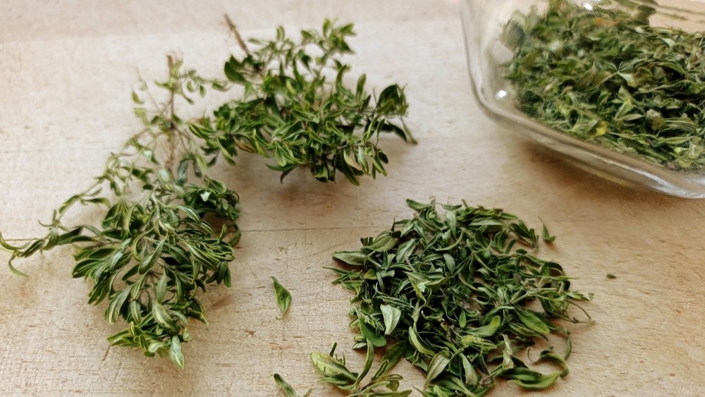 herbs urter krydderurter