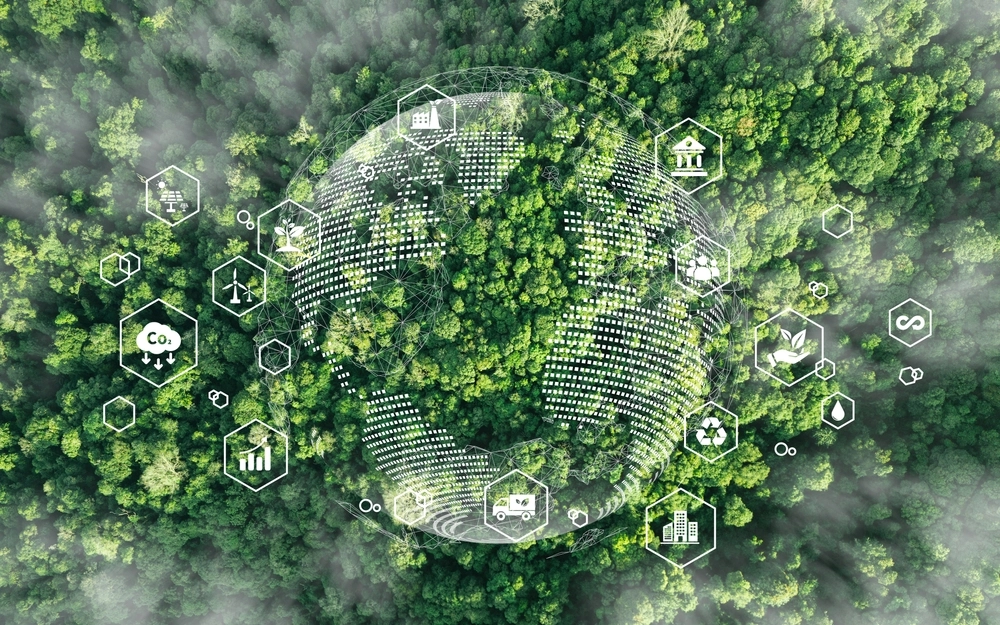 Environment, economy, forest, world, bæredygtig, sustainable, miljø