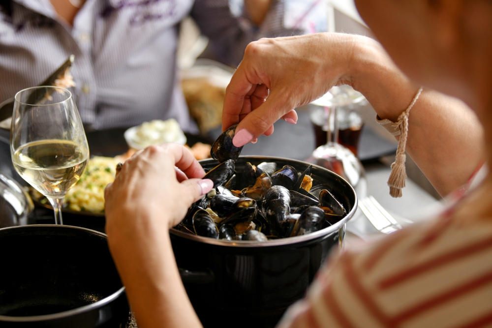 mussels, blåmusling, blåskjell