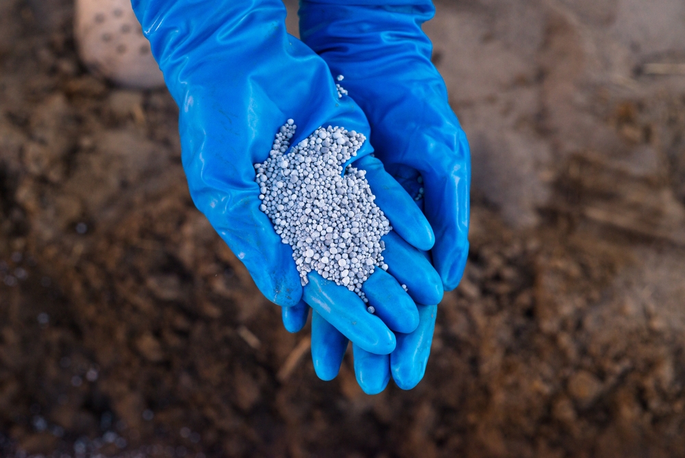 Chemical Fertilizer, Phosphates, Fosfat
