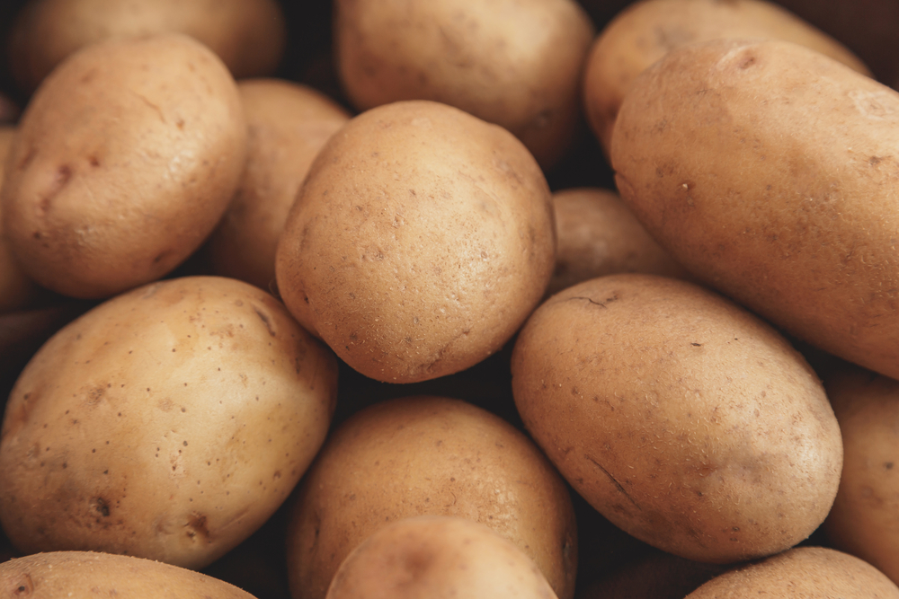 Potato,Anuschka,(anushka), potet, karoffel, kartofler