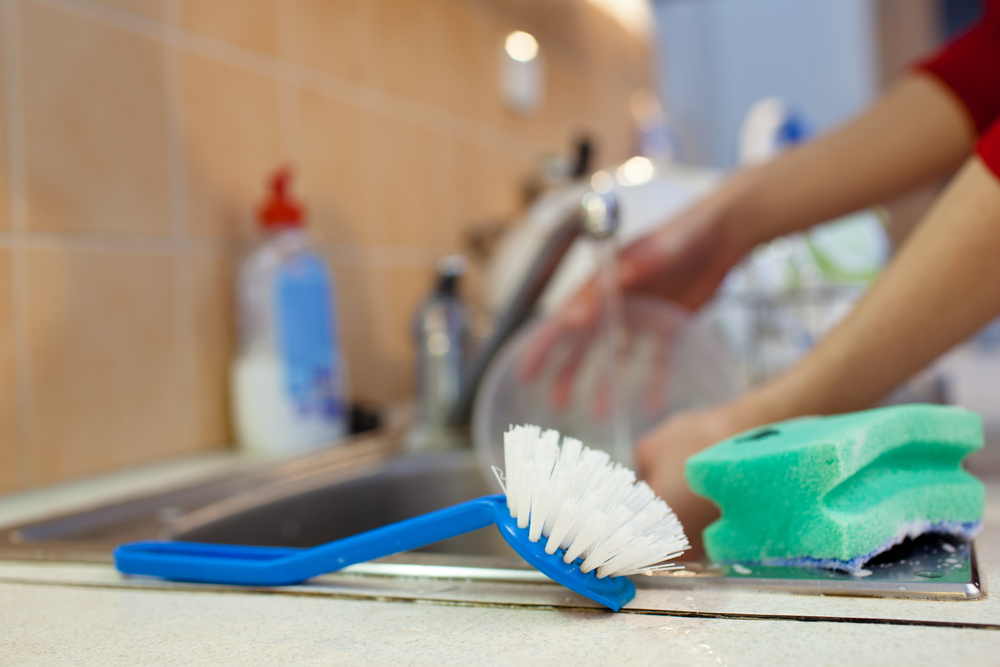 dish, brush, scrub, opvaskebørste, oppvaskkost