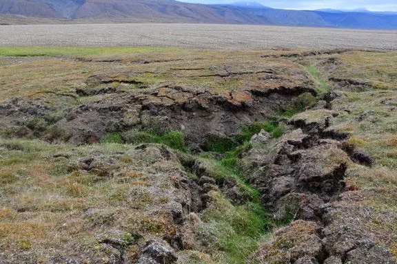 Tundra, Svalbard