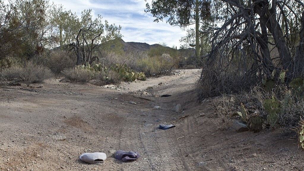 Sonoran Desert, Maricopa, Arizona