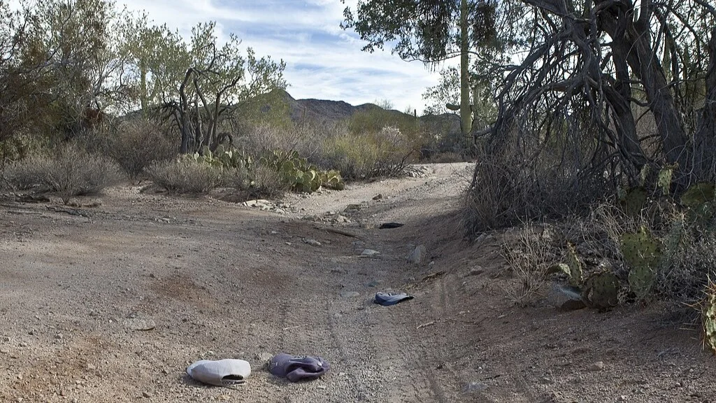 Sonoran Desert, Maricopa, Arizona