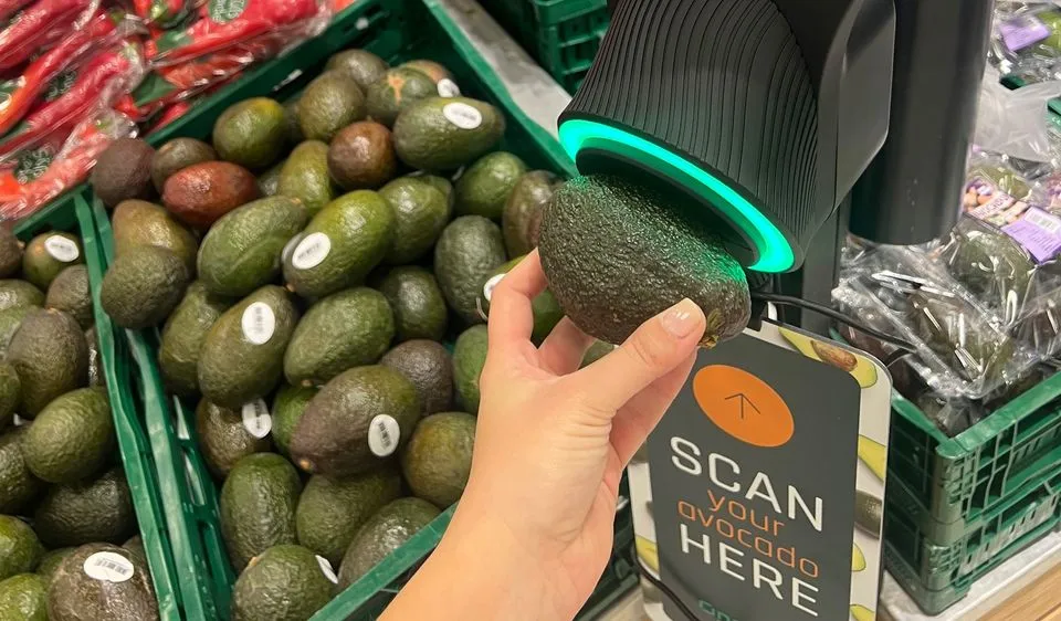 avocadoscanner