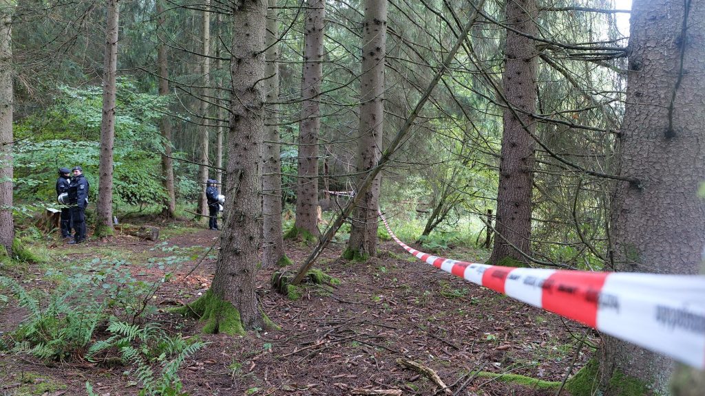 Human remains found in search for tourist missing since 2023